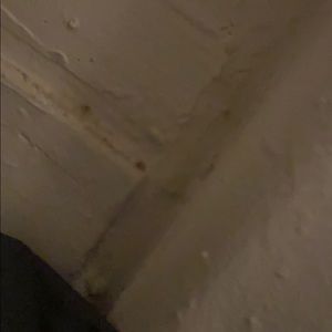 Meet your Posher, Bayden